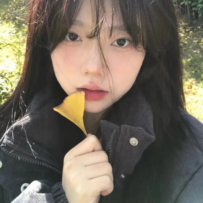 多梦女孩